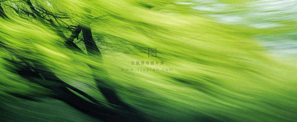 绿色植物树木绚丽虚幻背景