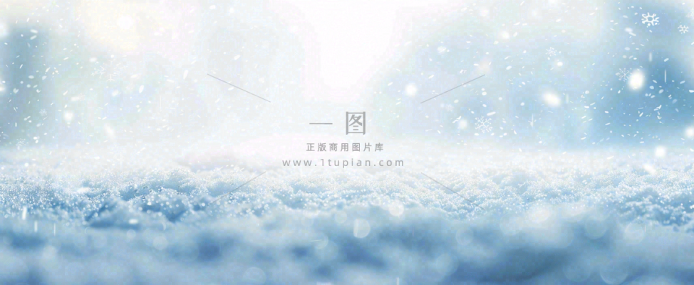 冬天白色闪耀的雪花寒冷唯美小寒大寒立冬大雪摄影图