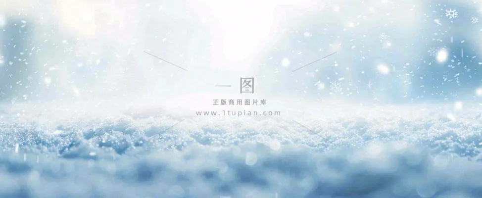 冬天白色闪耀的雪花寒冷唯美小寒大寒立冬大雪摄影图