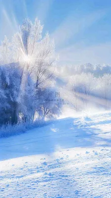 冬天东北森林白雪覆盖阳光小寒大寒大雪摄影图