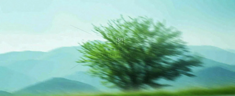 高山模糊绿树植物光影，大自然摄影图