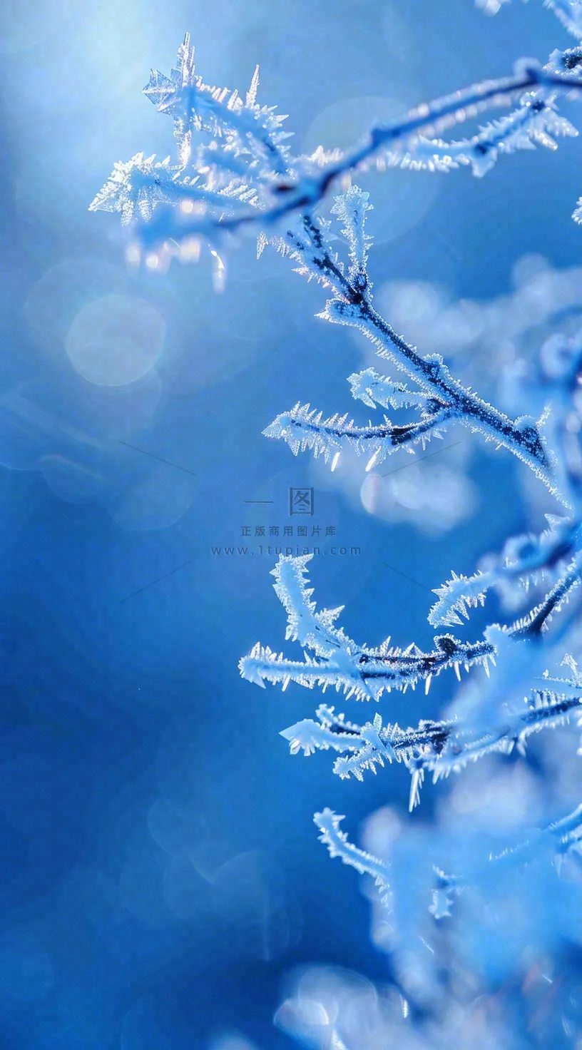 冬天白雪覆盖寒冷唯美雪景大寒插画背景