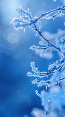 冬天白雪覆盖寒冷唯美雪景大寒插画背景 冬天白雪覆盖寒冷唯美雪景大寒插画背景