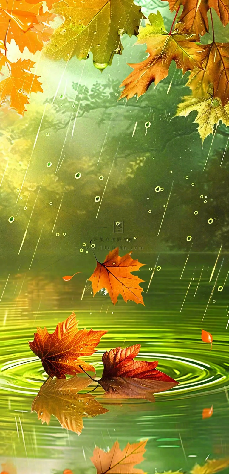 秋天秋分立秋
