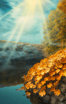 秋天蓝天阳光秋叶树木湖面水中倒影，秋分寒露摄影图