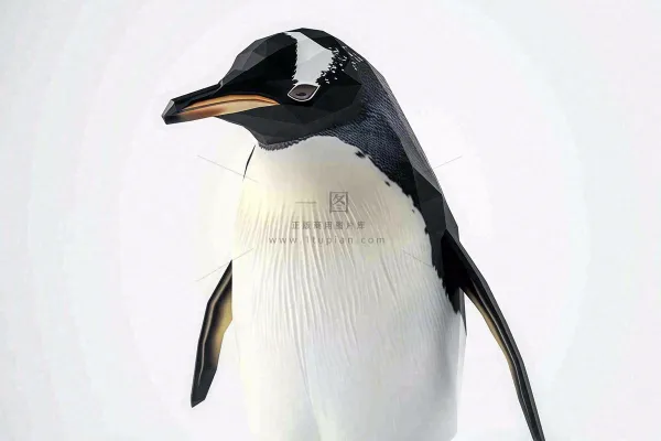 冰雪天地的企鹅寒冷动物摄影图