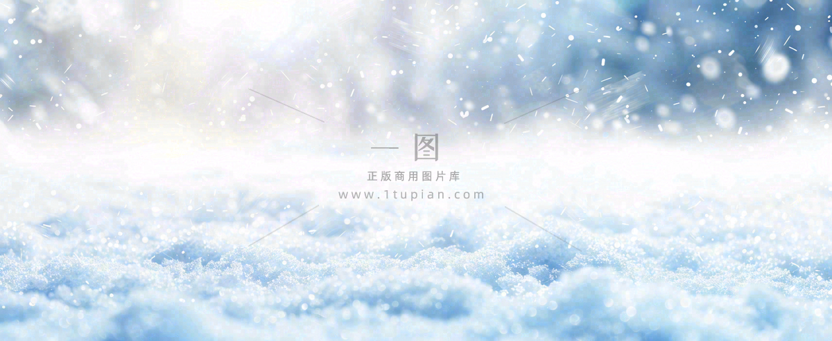 冬天白色闪耀的雪花寒冷唯美小寒大寒立冬大雪摄影图