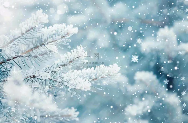 冬天松树上挂满了白雪雾凇立冬霜降冬至大雪摄影图