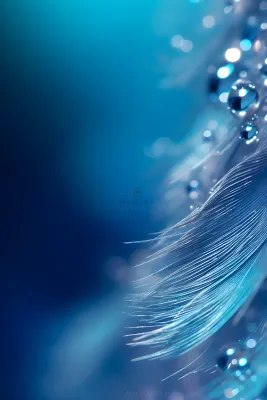 露珠蓝色清新大气背景