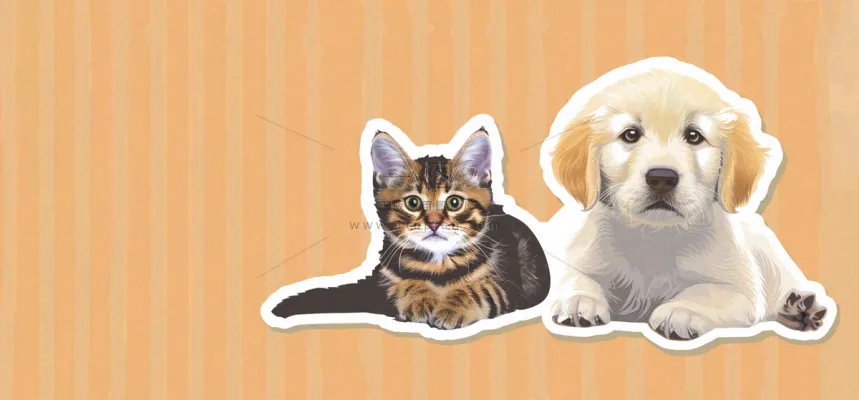 猫狗宠物店宣传卡通插画背景