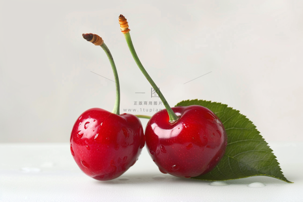 车厘子樱桃水果摄影图