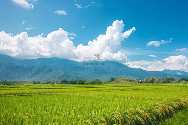 春天草地农田蓝天白云摄影图