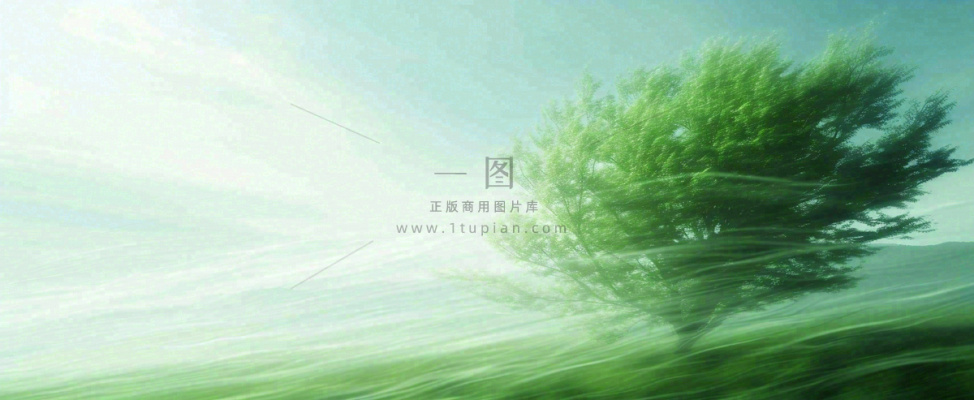 高山模糊绿树植物光影，大自然摄影图