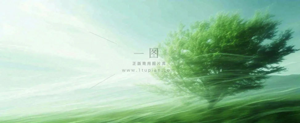 高山模糊绿树植物光影，大自然摄影图