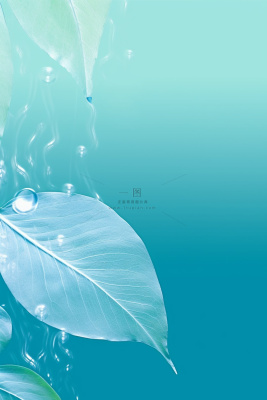 青色露珠透明树叶创意清新节气海报背景 青色露珠透明树叶创意清新节气海报背景