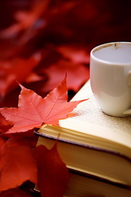 简约书籍水杯古典红色节气海报背景