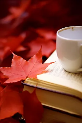 简约书籍水杯古典红色节气海报背景 简约书籍水杯古典红色节气海报背景