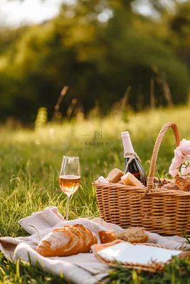 春天户外草坪野餐篮子露营食物酒面包摄影