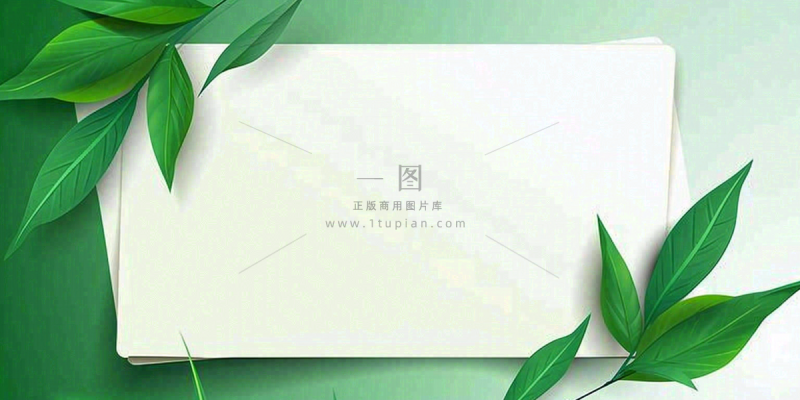 绿叶粽叶绿色边框白色信封端午节插画背景 绿叶粽叶绿色边框白色信封端午节插画背景