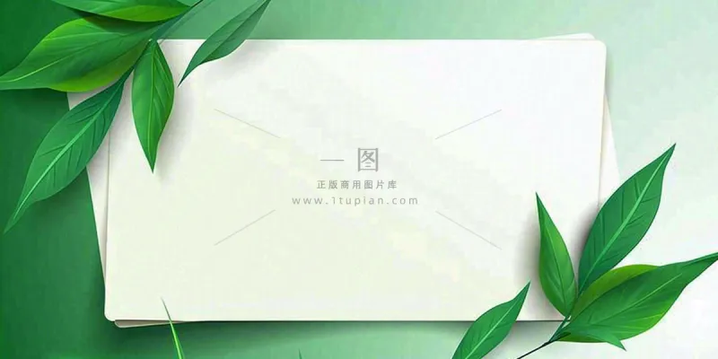 绿叶粽叶绿色边框白色信封端午节插画背景 绿叶粽叶绿色边框白色信封端午节插画背景