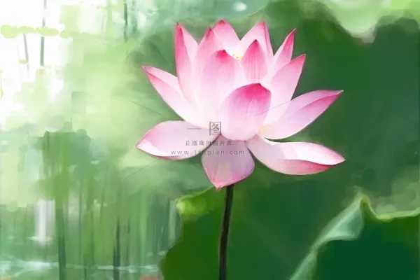 国风荷花水墨节气背景 国风荷花水墨节气背景