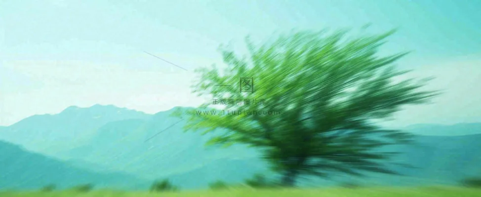 高山模糊绿树植物光影，大自然摄影图