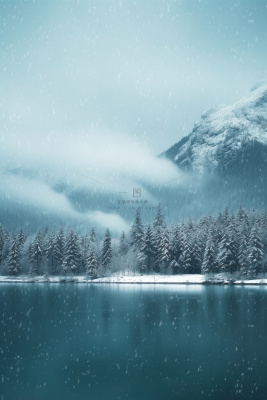 大雪冬天雪山树林温馨节气海报背景 大雪冬天雪山树林温馨节气海报背景