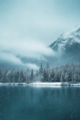 大雪冬天雪山树林温馨节气海报背景 大雪冬天雪山树林温馨节气海报背景