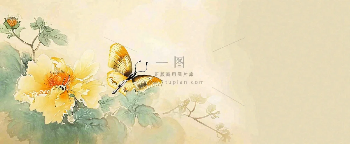 温馨纹理橙色花朵鲜花蝴蝶意境唯美，中国风