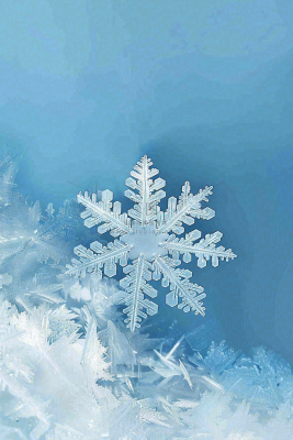 冬天白雪覆盖寒冷唯美雪景大寒插画背景 冬天白雪覆盖寒冷唯美雪景大寒插画背景