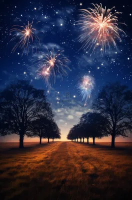 烟花五颜六色的烟花庆典新年节日暮色的天空背景摄影图