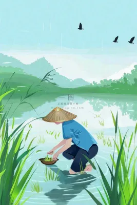 春耕农民种植水稻水田春雨燕子小满芒种春分卡通插画背景