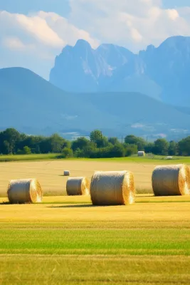 秋天农场稻田草垛远山摄影图