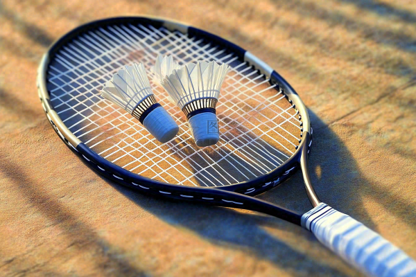 a close up of a tennis racket with two shuttles, a picture by Niko Henrichon, trending on dribble, hurufiyya, badminton, realistic rackets, tennis racket 