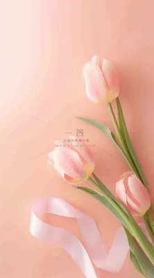 粉色郁金香花束母亲节送花摄影图 粉色郁金香花束母亲节送花摄影图