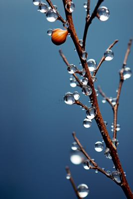 小雪简约冰冷蓝色节气海报背景 小雪简约冰冷蓝色节气海报背景