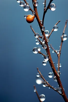 小雪简约冰冷蓝色节气海报背景 小雪简约冰冷蓝色节气海报背景
