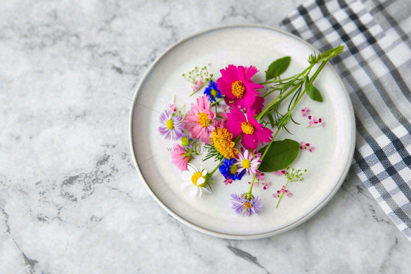 鲜花彩色花朵碟子摆盘简约摄影图 鲜花彩色花朵碟子摆盘简约摄影图