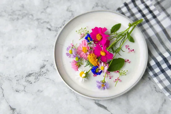 鲜花彩色花朵碟子摆盘简约摄影图 鲜花彩色花朵碟子摆盘简约摄影图