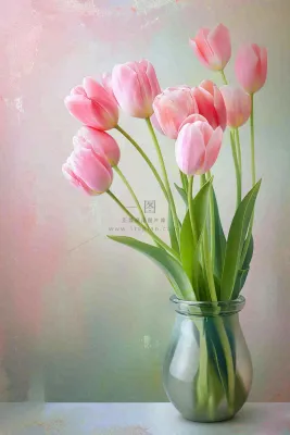 世界教师日 世界教师日