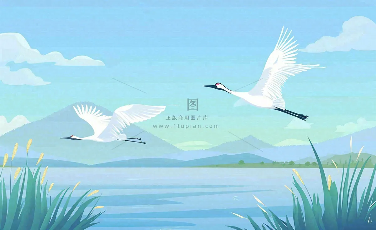 白露芦苇山水飞鹤插画蓝色唯美卡通插画背景