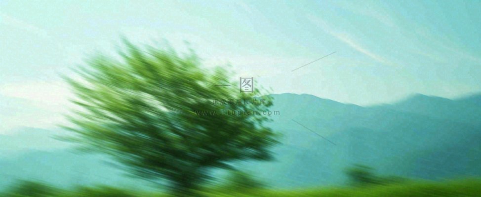 高山模糊绿树植物光影，大自然摄影图