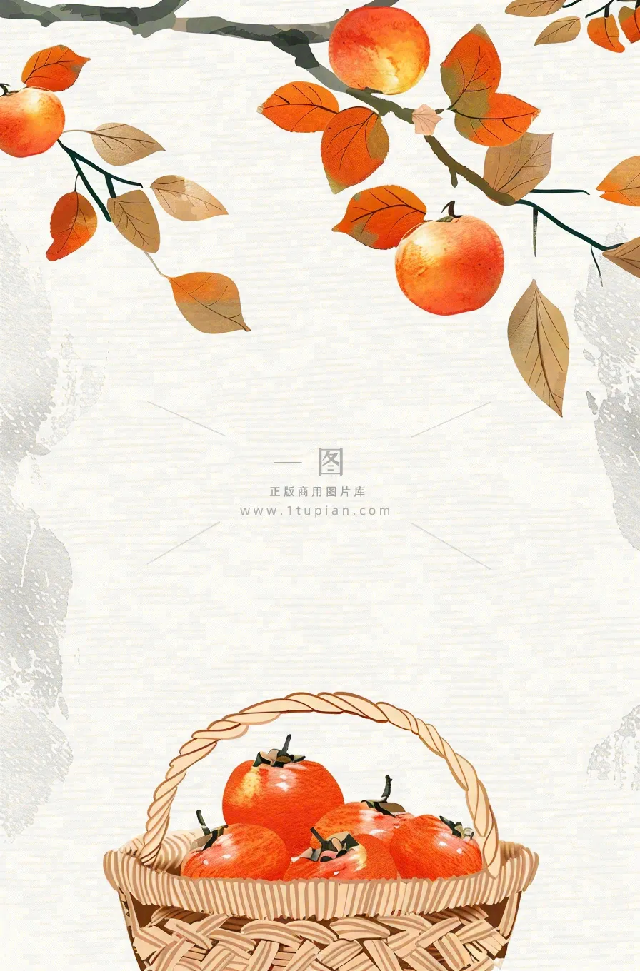 秋冬柿子树下的柿子水果霜降插画背景
