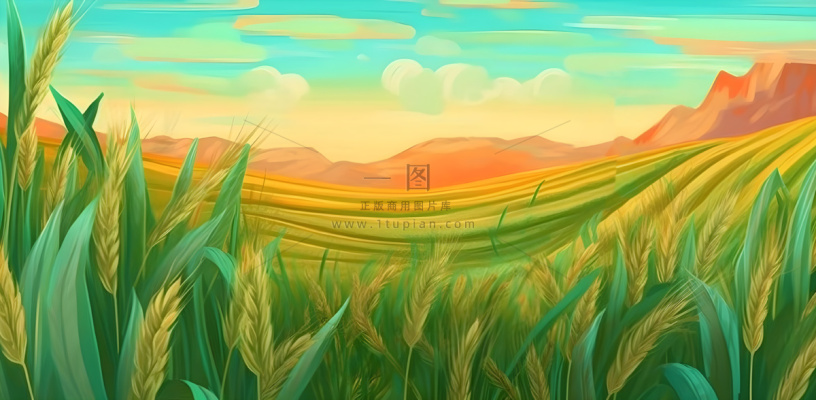 农田庄稼小麦玉米地夕阳晚霞绿色背景