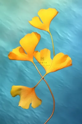 简约大气渐变落叶黄色秋叶背景 简约大气渐变落叶黄色秋叶背景