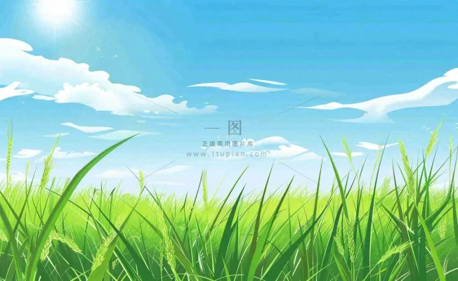 春天草场莺飞小麦地绿色麦苗小满芒种立夏卡通插画背景