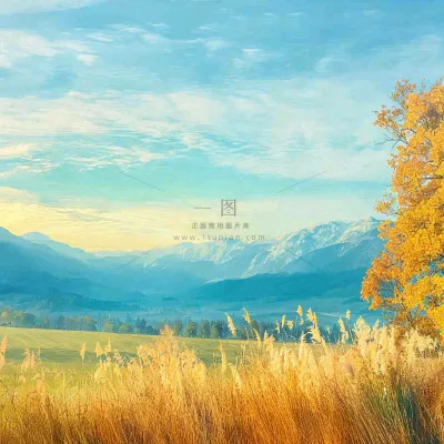 秋天黄色的树叶和草地肃杀的气氛,立秋,秋分 秋天黄色的树叶和草地肃杀的气氛,立秋,秋分