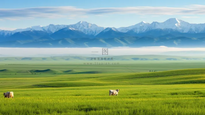 草原白云蓝天一望无际大自然风景摄影图