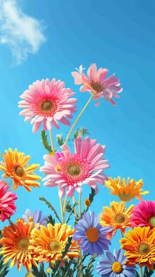 春天蓝天白云草坪鲜花，五彩缤纷鲜艳摄影图