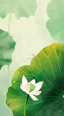 夏天荷花荷叶清凉小清新淡雅小暑大暑处暑插画背景 夏天荷花荷叶清凉小清新淡雅小暑大暑处暑插画背景